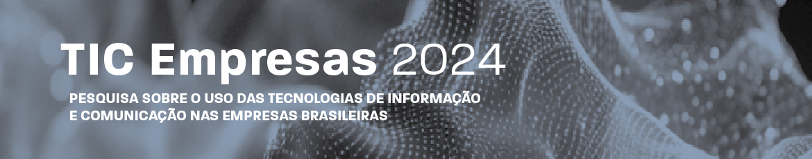 TIC Empresas 2024