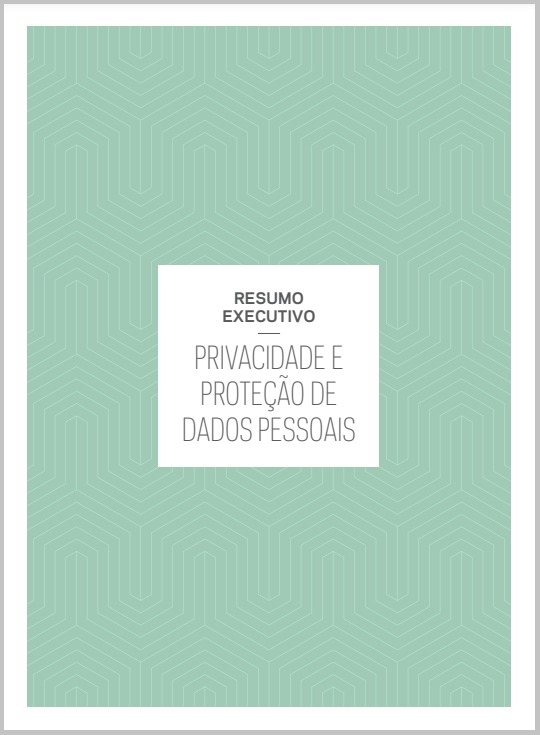 Resumo Executivo - Privacidade e proteção de dados pessoais 2023